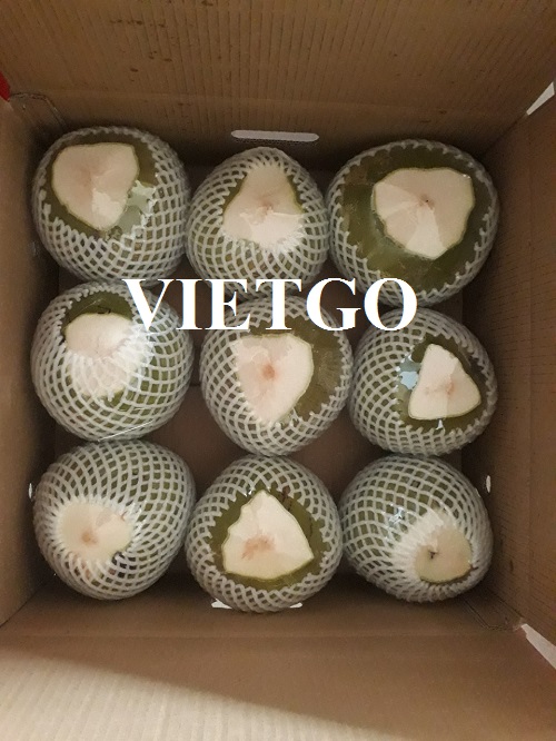 Cơ hội xuất khẩu Dừa tươi sang thị trường Nga