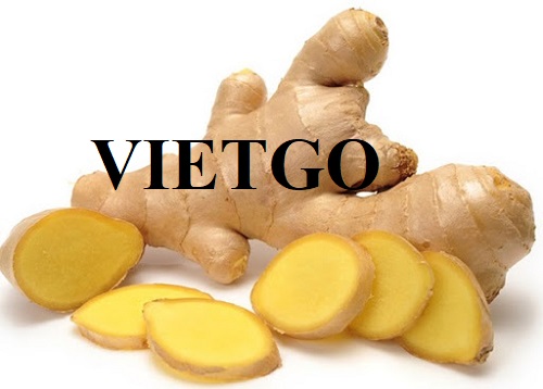 Cơ hội xuất khẩu Gừng tươi sang thị trường Anh
