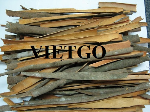 Cơ hội xuất khẩu Quế sang thị trường Ả Rập Xê-út