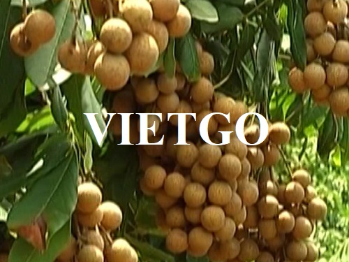 Cơ hội xuất khẩu Nhãn tươi sang thị trường Nga