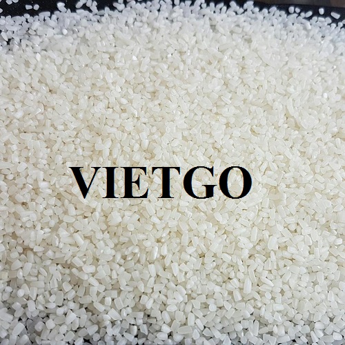 Cơ hội xuất khẩu gạo tấm sang thị trường Ấn Độ