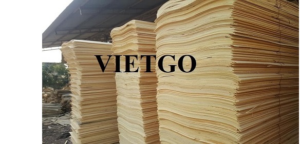 Cơ hội xuất khẩu 2 container 40’HQ ván bóc lõi bạch đàn sang thị trường Trung Quốc