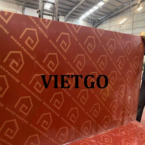 Cơ hội xuất khẩu gỗ dán phủ phim từ vị khách hàng người Trung Quốc