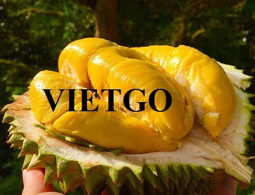 Cơ hội xuất khẩu sầu riêng sang thị trường Tây Ban Nha