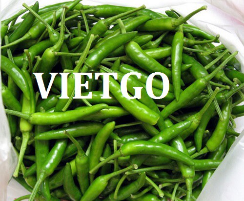 Cơ hội xuất khẩu Ớt xanh sang thị trường Tây Ban Nha