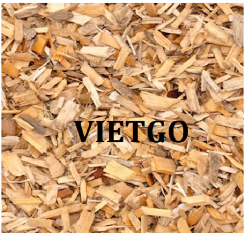 Cơ hội xuất khẩu 30.000 BDMT gỗ vụn hàng tháng sang thị trường Trung Quốc