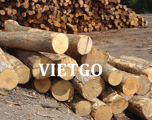Cơ hội xuất khẩu gỗ teak tròn sang thị trường Iran