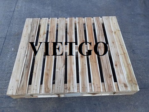 Cơ hội xuất khẩu 250 pallet gỗ hàng tuần sang thị trường Mỹ