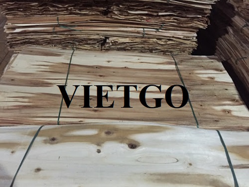 (Gấp) Cơ hội xuất khẩu 5 container 40ft ván bóc hàng tháng sang thị trường Ai Cập