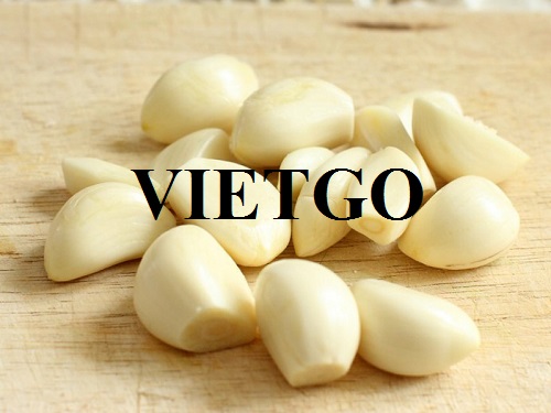 Cơ hội xuất khẩu Tỏi lột vỏ sang thị trường Ấn Độ