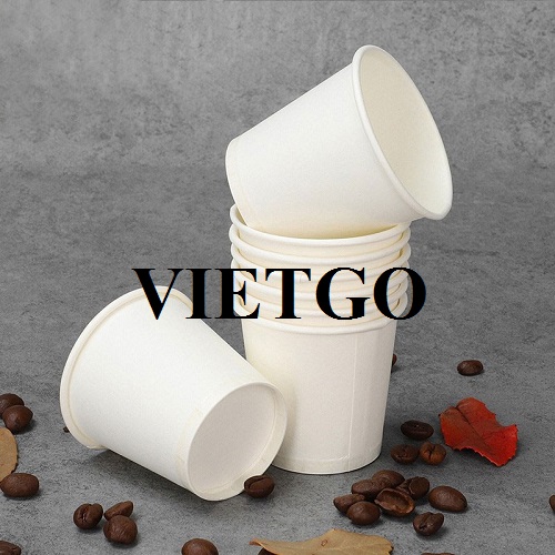 Giám đốc doanh nghiệp tại Úc cần nhập khẩu cốc giấy cho dự án sắp tới