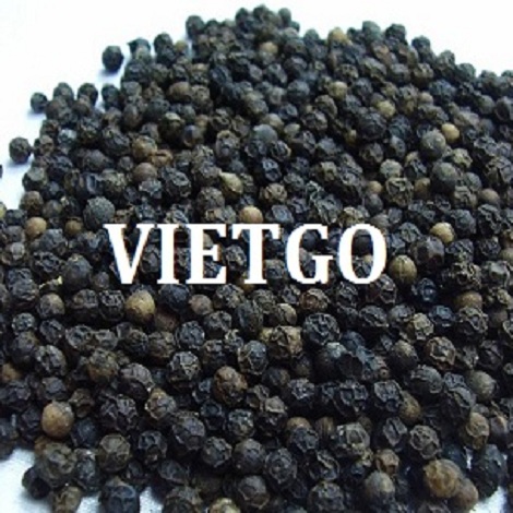 Cơ hội xuất khẩu Tiêu đen sang thị trường Ấn Độ