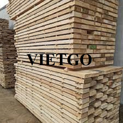 Cơ hội xuất khẩu 3 container 40ft gỗ keo xẻ hàng tháng sang thị trường Malaysia