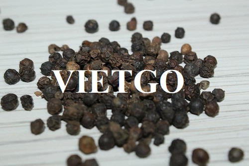 (Đơn hàng cả năm) Một công ty xuất nhập khẩu lớn tại Việt Nam đang cần tìm đối tác cung cấp sản phẩm hạt tiêu số lượng lớn