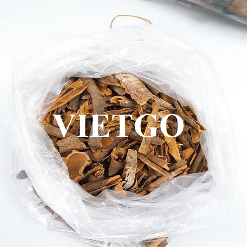 Cơ hội xuất khẩu quế vụn sang thị trường Ấn Độ