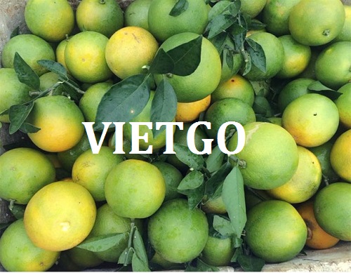 Cơ hội xuất khẩu Cam ngọt sang thị trường Bangladesh