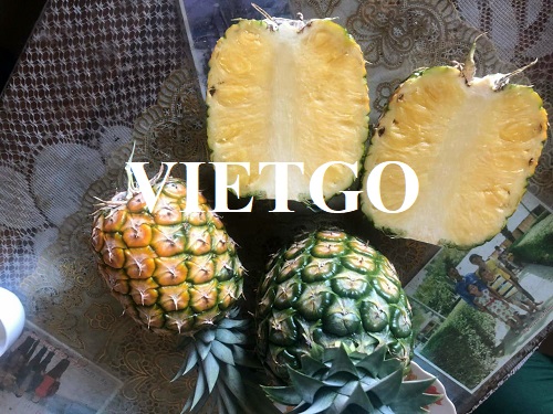 (Đơn hàng cả năm) Một công ty xuất nhập khẩu lớn tại Việt Nam đang cần tìm đối tác cung cấp sản phẩm dứa số lượng lớn