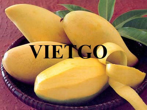 Cơ hội xuất khẩu xoài tươi sang thị trường Bangladesh