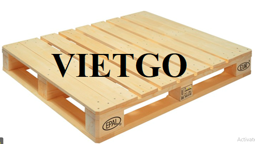 Cơ hội xuất khẩu 50.000 pallet gỗ thông theo tiêu chuẩn EPAL hàng tháng sang thị trường Thổ Nhĩ Kỳ