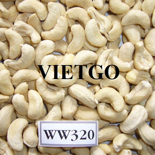 Cơ hội xuất khẩu Hạt điều sang thị trường Bỉ