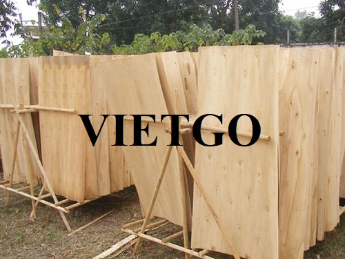Cơ hội xuất khẩu ván bóc sang thị trường Thổ Nhĩ Kỳ
