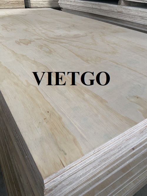 Cơ hội xuất khẩu gỗ dán sang thị trường Hàn Quốc