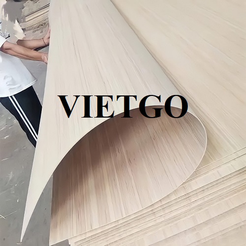Cơ hội xuất khẩu gỗ dán sang thị trường Ai Cập
