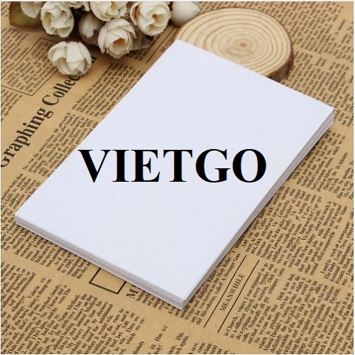 Cơ hội xuất khẩu giấy A4 sang thị trường Ý