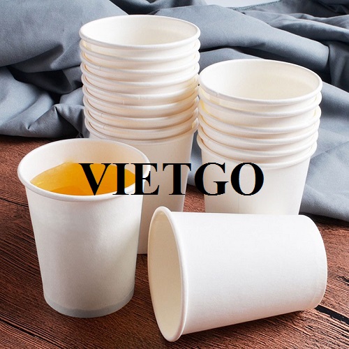 Cơ hội xuất khẩu cốc giấy cho một thương nhân người Oman