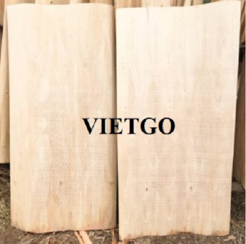 Cơ hội xuất khẩu số lượng lớn ván bóc bạch đàn hàng tháng sang thị trường Trung Quốc