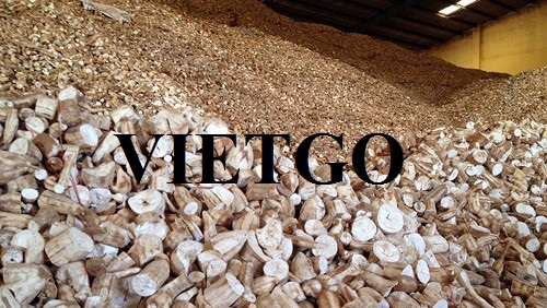 Cơ hội xuất khẩu sắn lát sang thị trường Trung Quốc