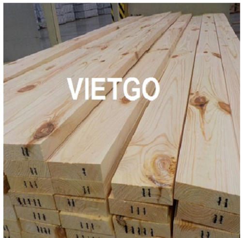 Cơ hội xuất khẩu gỗ thông xẻ sang thị trường Úc