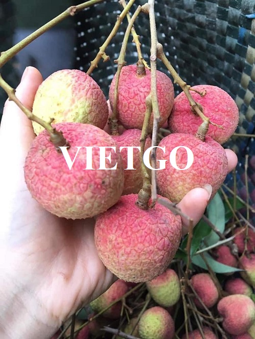 Cơ hội xuất khẩu quả vải sang thị trường Kuwait