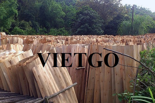 Thương nhân người Trung Quốc sẽ nhập khẩu 20.000 m3 ván bóc cao su hàng năm để làm sàn container