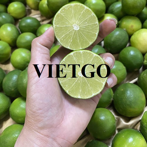 Cơ hội xuất khẩu chanh xanh hàng tháng sang thị trường Dubai