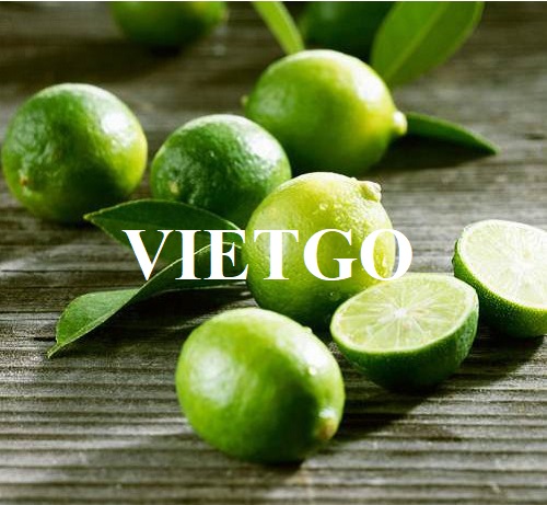 Cơ hội xuất khẩu chanh xanh sang thị trường Ả Rập Xê-út