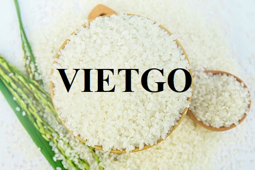 Cơ hội xuất khẩu Gạo đến từ vị khách hàng người Mỹ