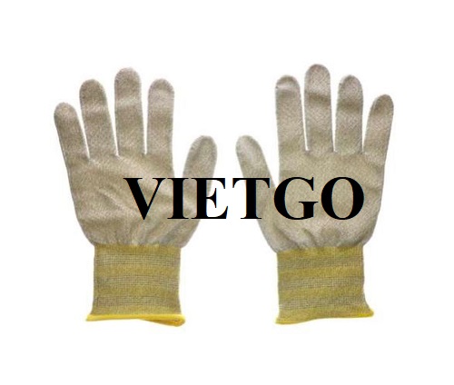 Cơ hội xuất khẩu mặt hàng găng tay vải sang thị trường Mexico