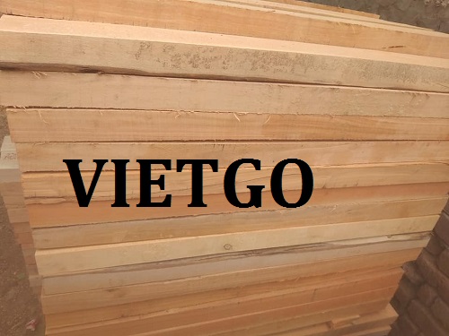 Cơ hội xuất khẩu gỗ bạch đàn xẻ sang thị trường Trung Quốc