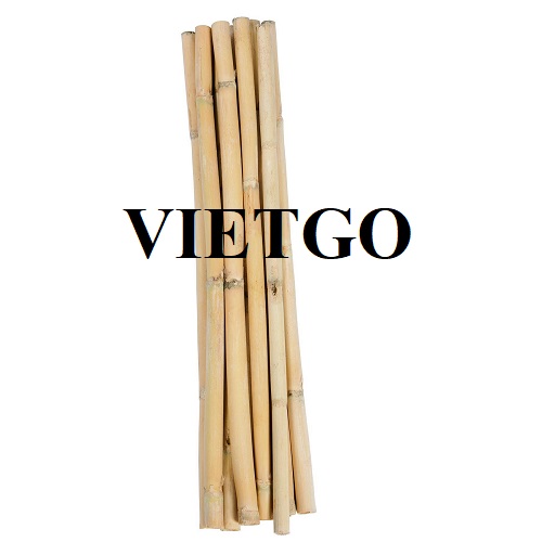 Cơ hội cung cấp 80.000 chiếc gậy tre cho một vườn ươm tại Vương quốc Anh
