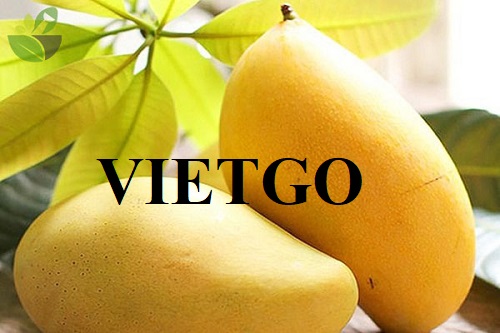 Cơ hội xuất khẩu xoài tươi sang thị trường Italia