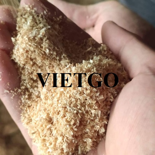 Cơ hội xuất khẩu dăm bào sang thị trường Ả Rập Xê Út