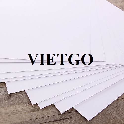 Cơ hội xuất khẩu giấy A4 sang thị trường châu Phi