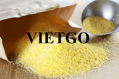 Cơ hội xuất khẩu Bột Ngô sang thị trường Australia