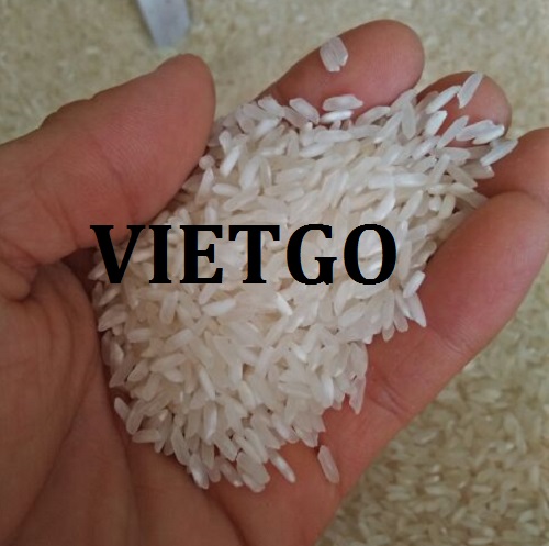 Cơ hội xuất khẩu gạo sang thị trường Cameroon