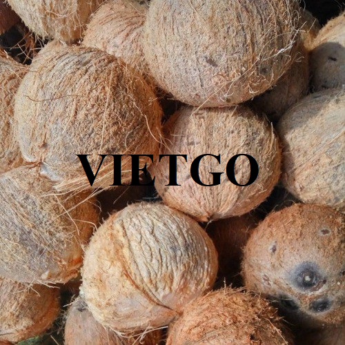 Cơ hội xuất khẩu trái dừa sang thị trường Ả Rập Xê-út