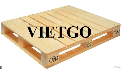 Cơ hội xuất khẩu thường xuyên pallet gỗ sang thị trường Hồng Kông