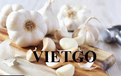 Cơ hội xuất khẩu tỏi trắng cho một doanh nghiệp chuyên kinh doanh các loại gia vị tại Ấn Độ