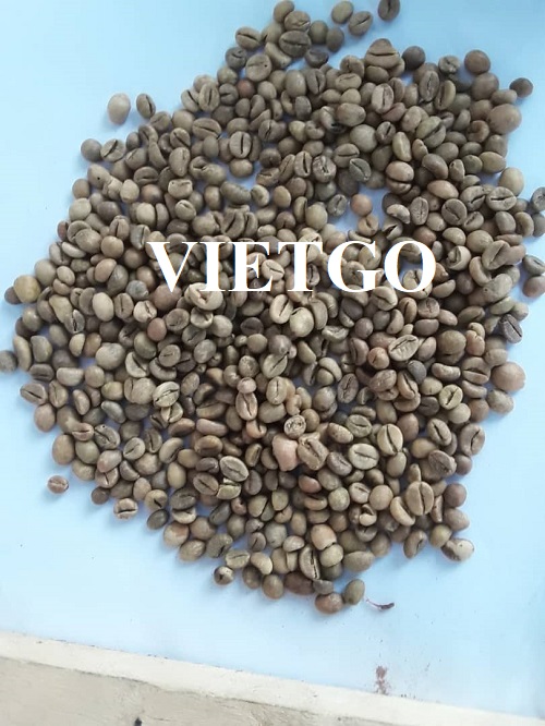Cơ hội xuất khẩu hạt cà phê sang thị trường Trung Quốc