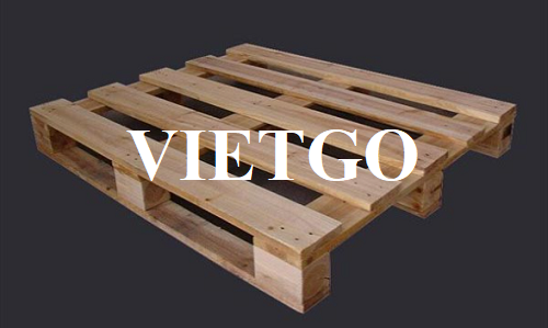 Cơ hội xuất khẩu 1000 pallet gỗ thông hàng tháng sang thị trường Malaysia